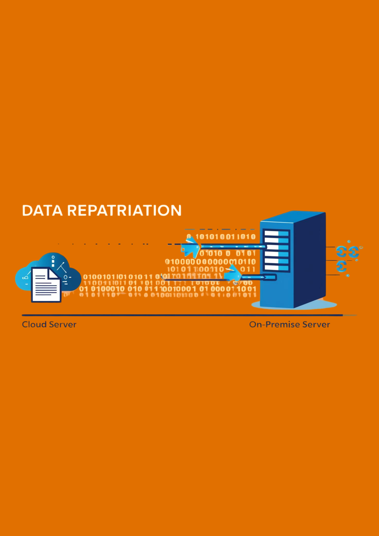 data-repatriation-bravinci